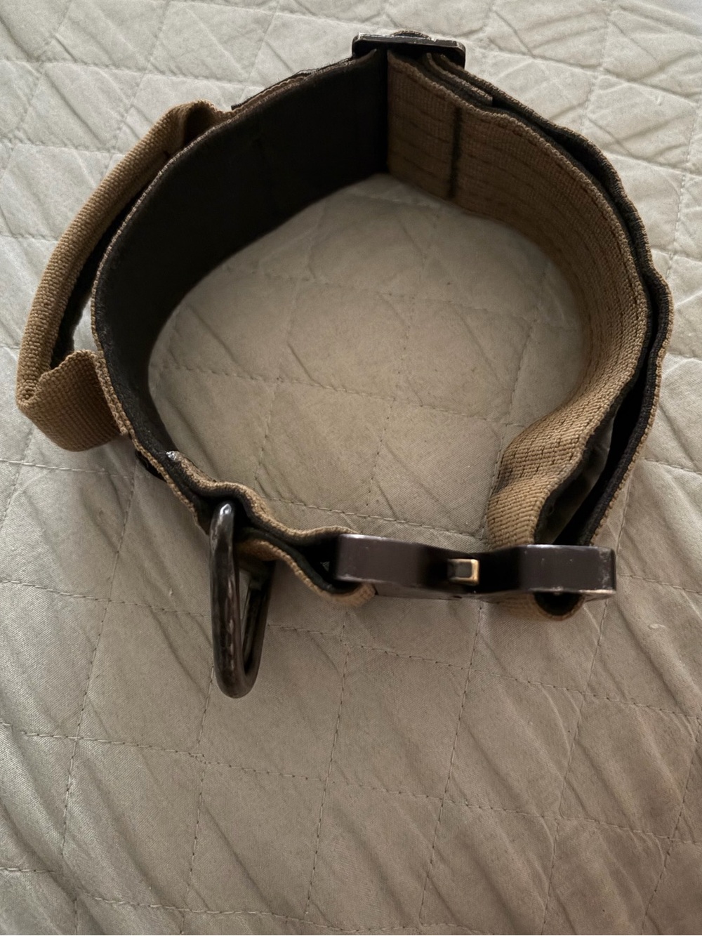 TACTIPUP Non-Personalized Extreme 2 inch Tactical Dog Collar with Handle